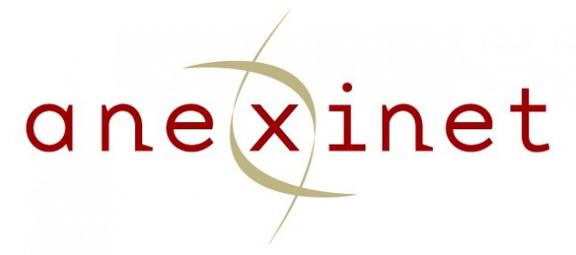 Anexinet Technology logo