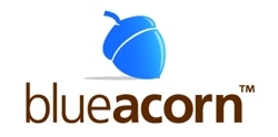 reviews on blue acorn ppp