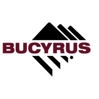 Bucyrus International 