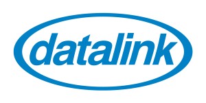 Datalink Corporation 