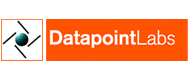DatapointLabs 