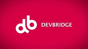 DevBridge 