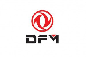 Dongfeng Motor Group 