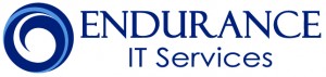 Endurance IT Services 