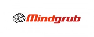 Mindgrub Technologies 