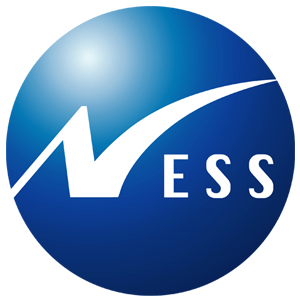 Ness Technologies 