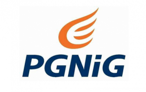 Pgnig Group 
