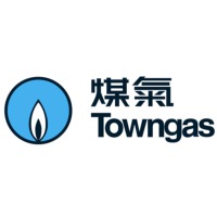 The Hong Kong and China Gas Company 