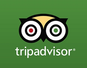 TripAdvisor, Inc. 