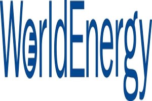 World Energy Solutions Inc (DE) 