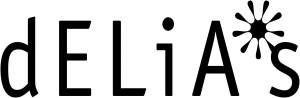 dELIA s Inc. 