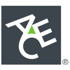 ACE Limited 