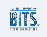 Business Information Technology Solutions