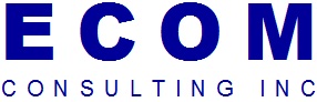ECOM Consulting 