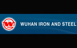 Wuhan Iron & Steel 